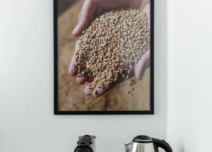 招待所 Granea - For Living 3*